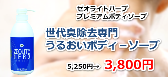 [ICgn[u,[ICg,Vv[,RfBVi[,܂єet,lCet,\[v